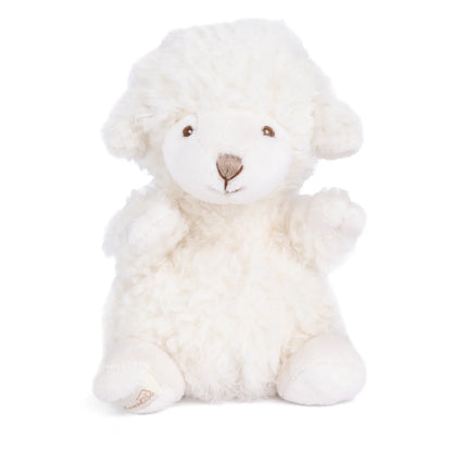 Baby Mack Sheep