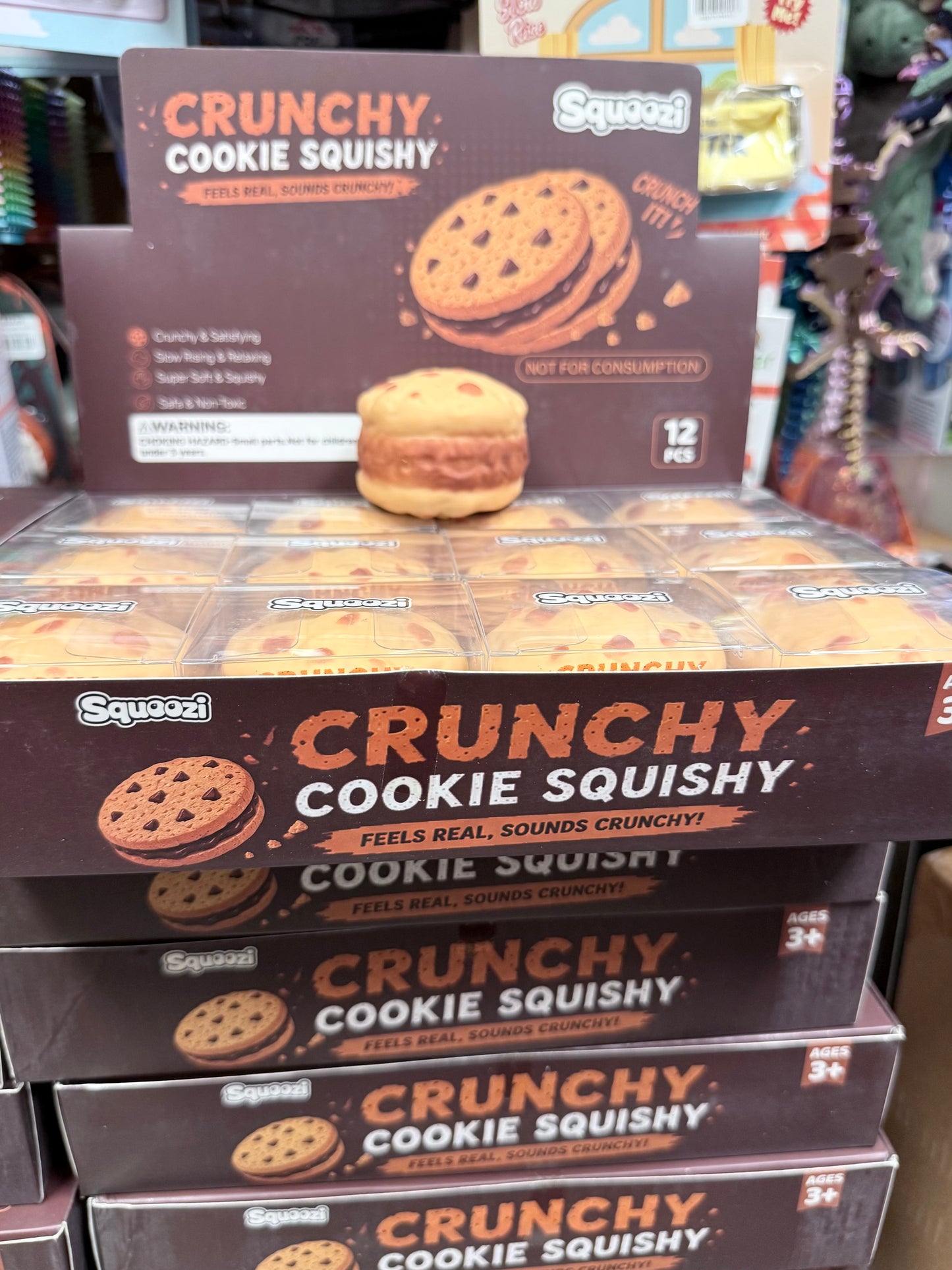 Crunchy Cookie Squishy