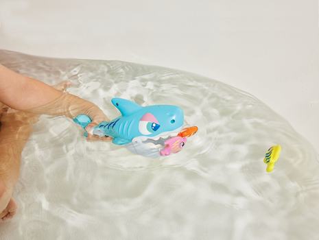 Splish Splash Shark