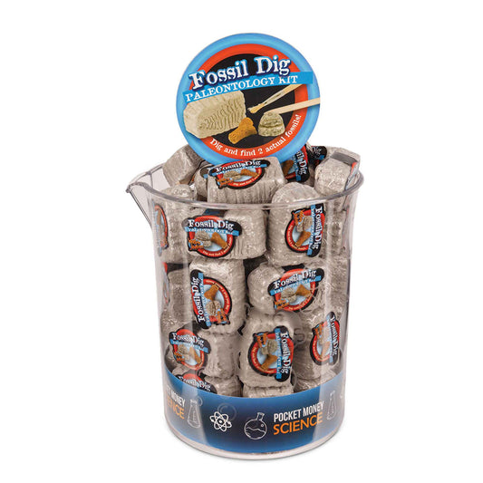 Fossil Dig Ast