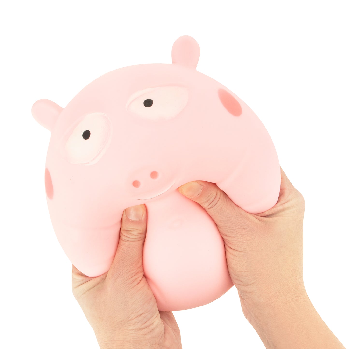 Big Squij Pig
