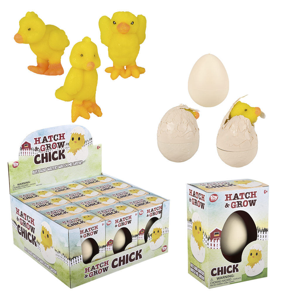 SMALL HATCH AND GROW CHICK EGG