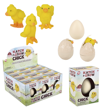 SMALL HATCH AND GROW CHICK EGG