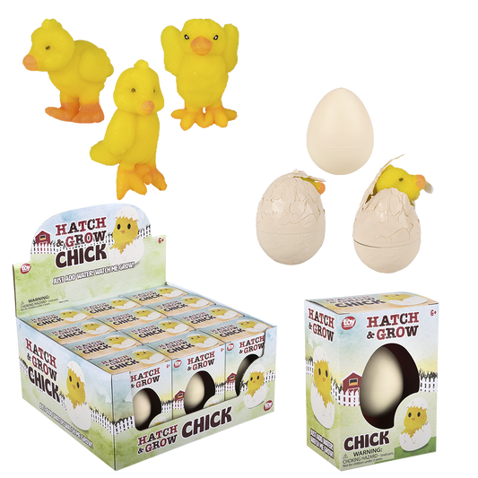 SMALL HATCH AND GROW CHICK EGG