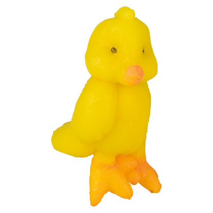 SMALL HATCH AND GROW CHICK EGG