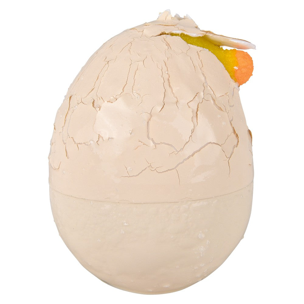 SMALL HATCH AND GROW CHICK EGG