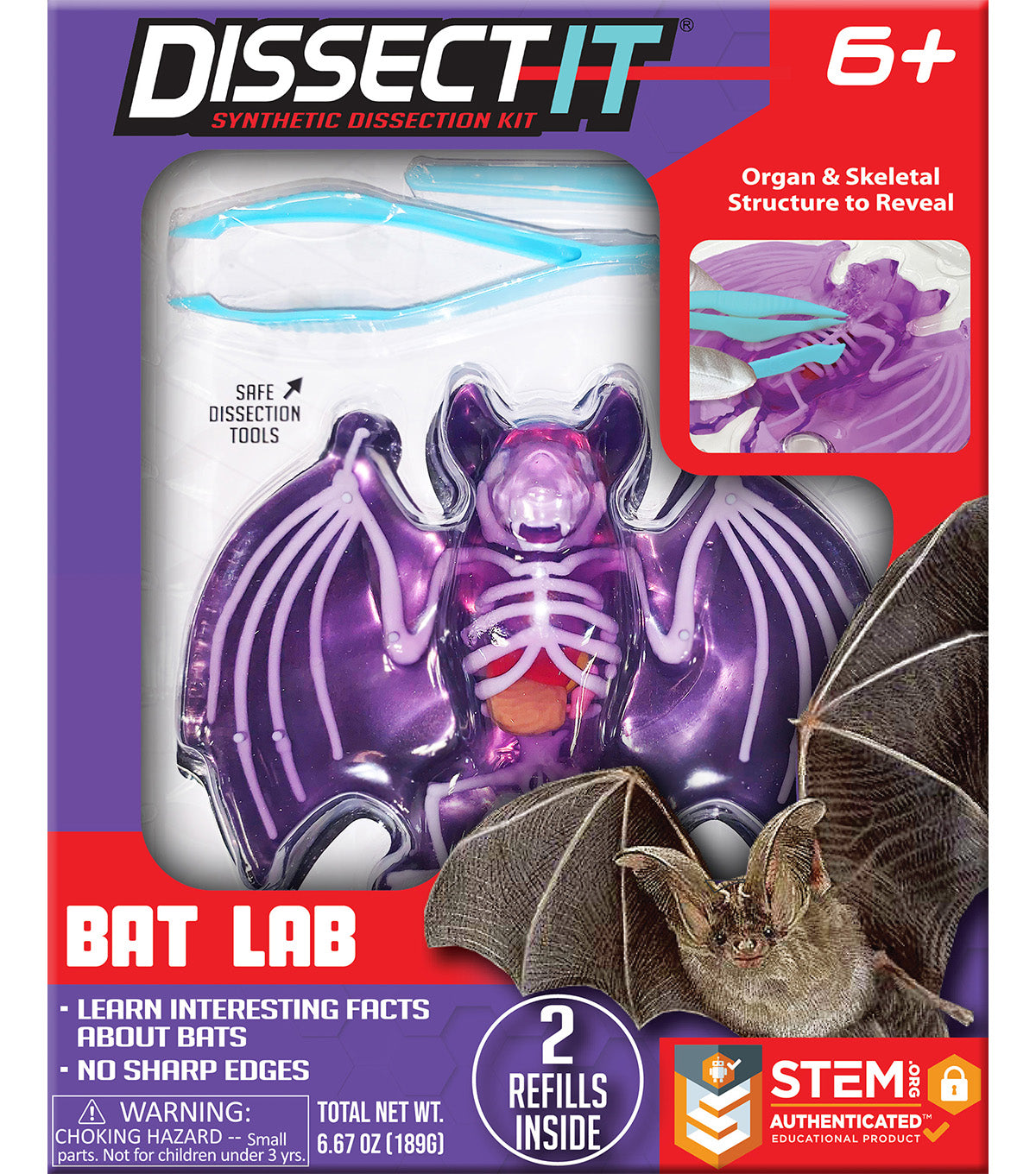 Dissect IT Bat