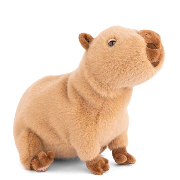 Theo Capybara