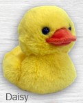 Duckees Plush Assorted