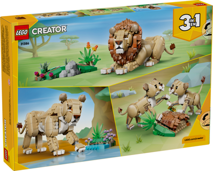 Majestic Lion Wild Animals