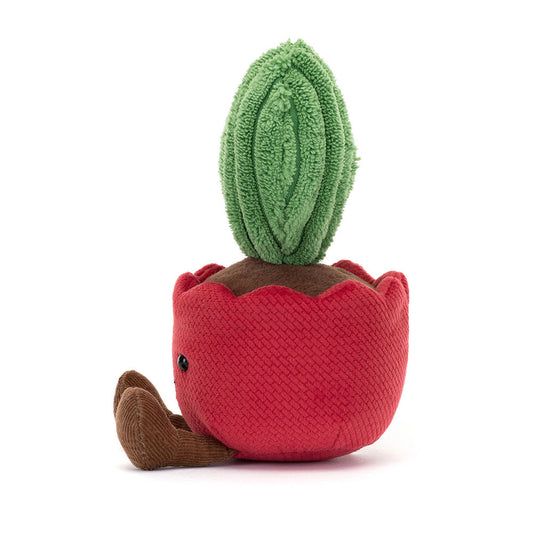 Amuse Kerrii Cactus