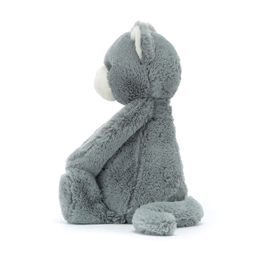 Bashful Grey Kitten Orig
