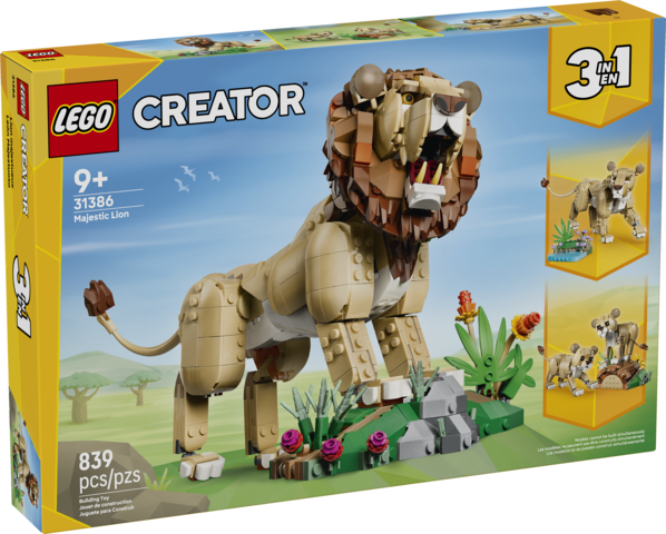 Majestic Lion Wild Animals