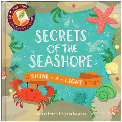Secrets of the Seashore