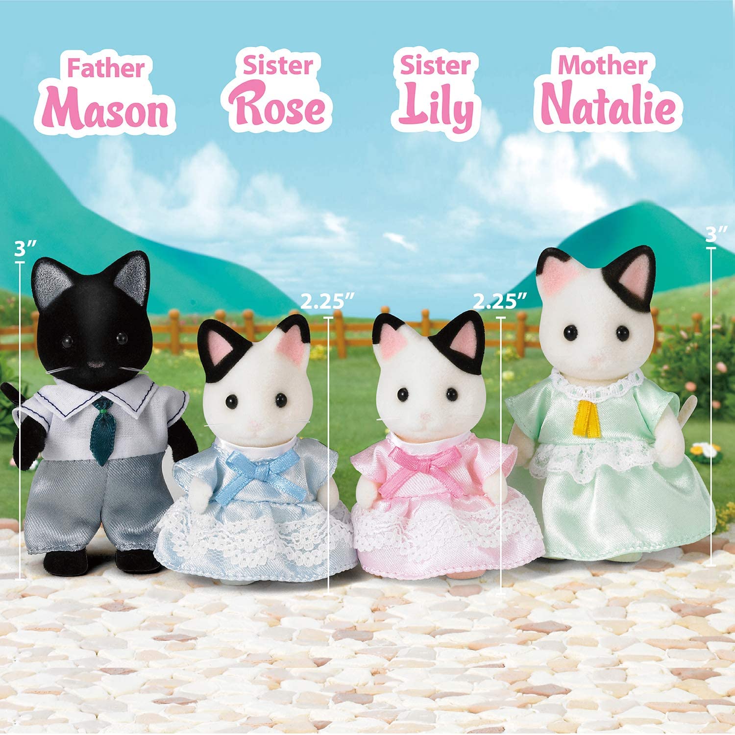 Calico Tuxedo Cat Family