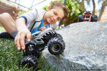 HW Monster Truck Ast 1:24