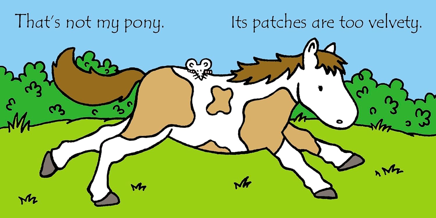 Thats Not My Pony Book