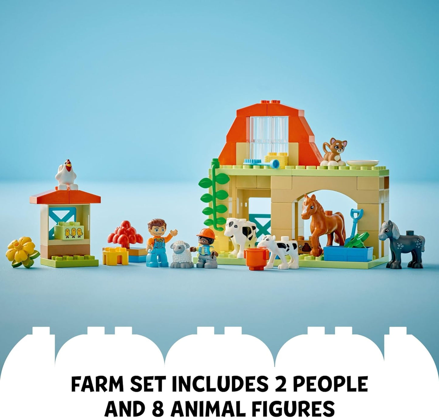 Caring for Animals Farm