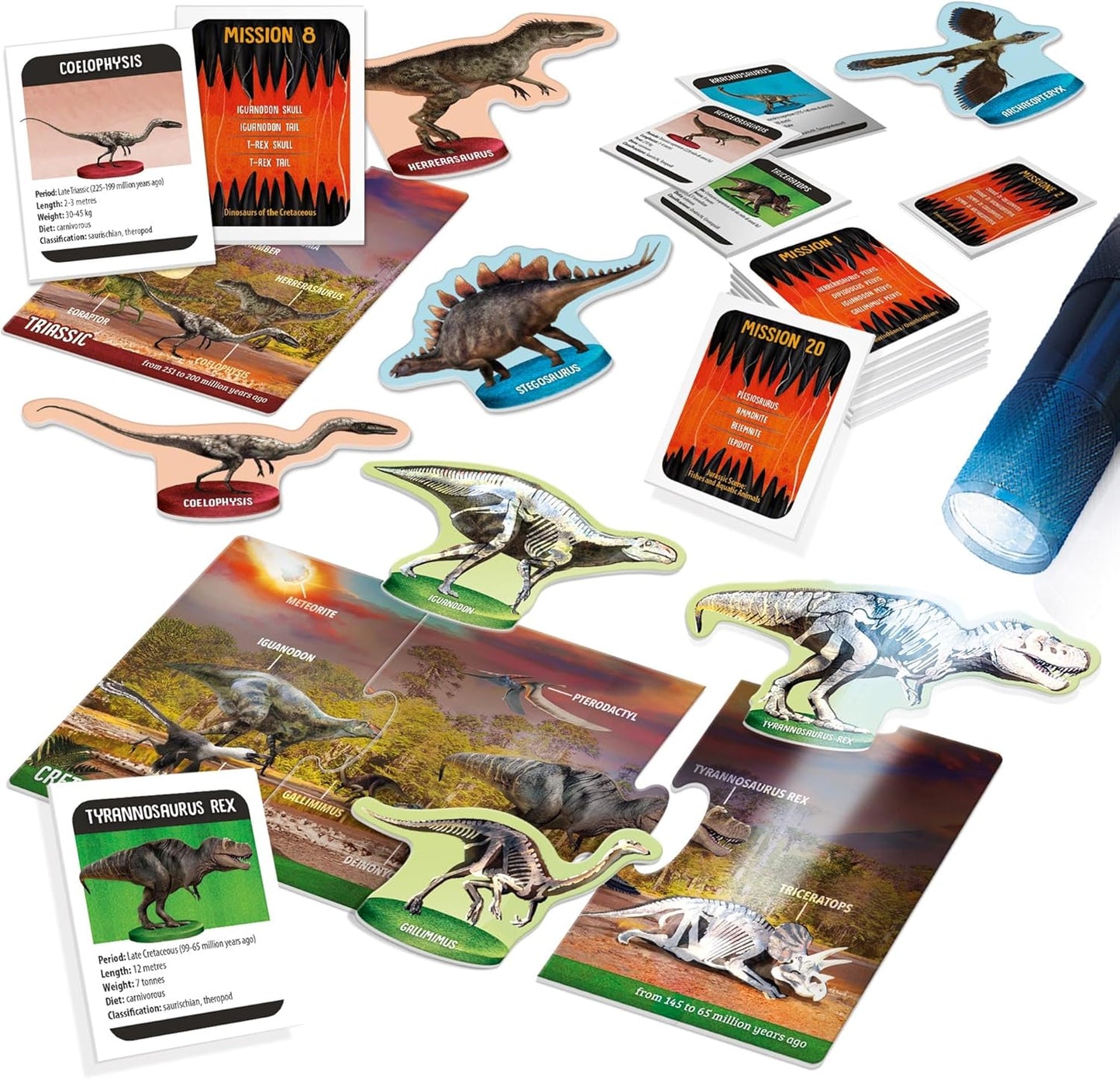 Dinosaurs Under the X-Ray