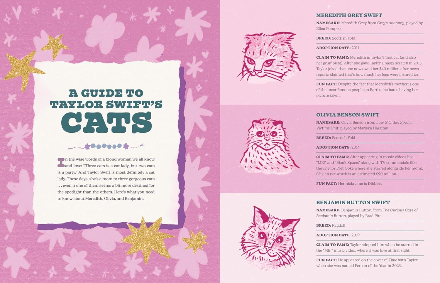 Long Live Tswift Book