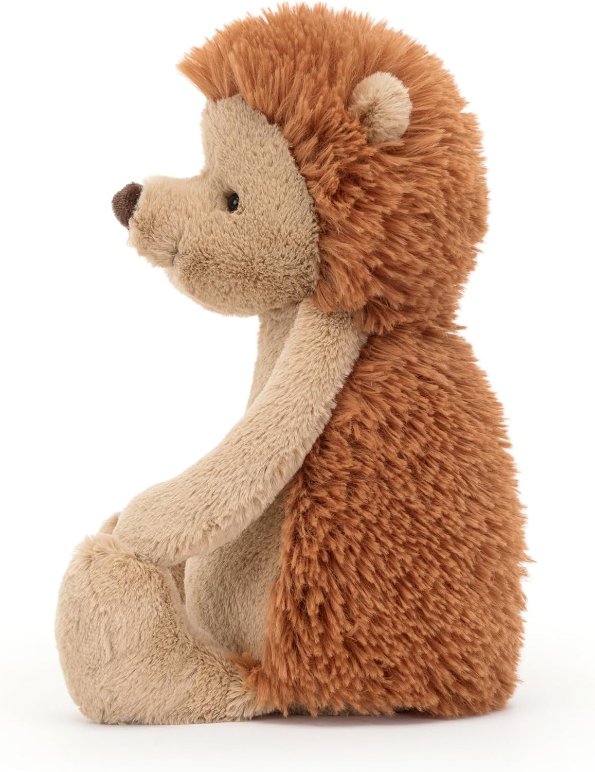 Bashful Hedgehog Orig