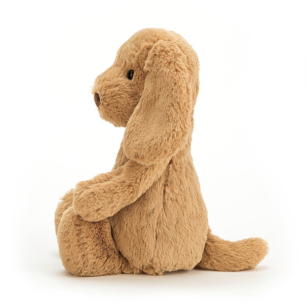 Bashful Toffee Puppy Med