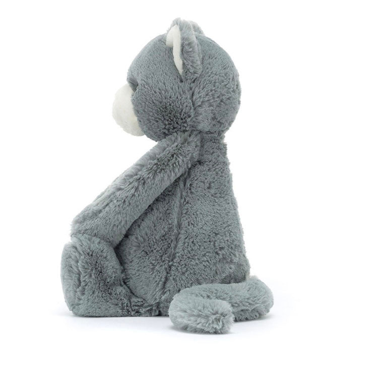 Bashful Grey Kitten Orig