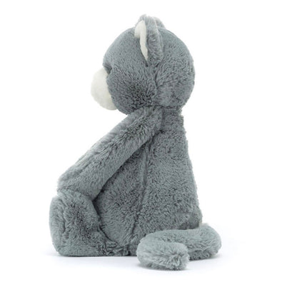 Bashful Grey Kitten Orig