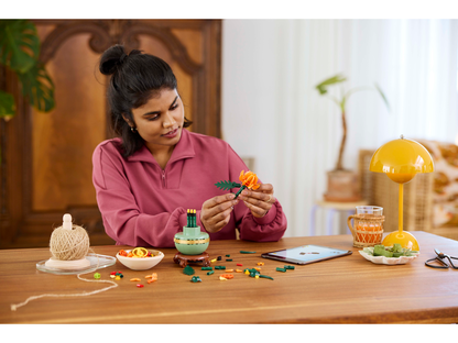 Chrysanthemum Bontanical