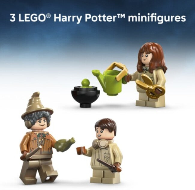 Hogwarts Castle Herbology