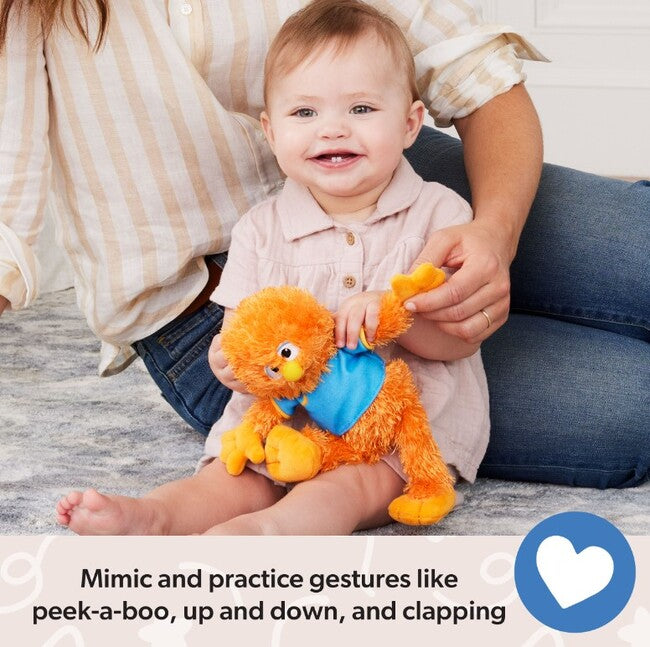 Herbie Comfort Friend